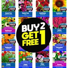 Flower Seeds UK Grow Your Own Outdoor Plants Borders | Over 80 varieties