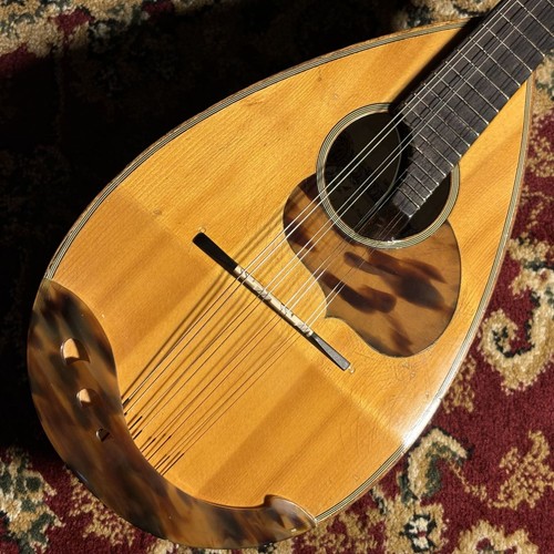 Calace mandolin used - calace,