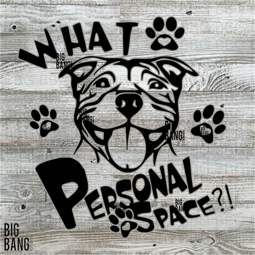 Staffordshire bull terrier - staffordshire,