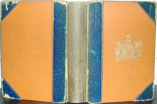 Cricket grace andrew lang - w, g