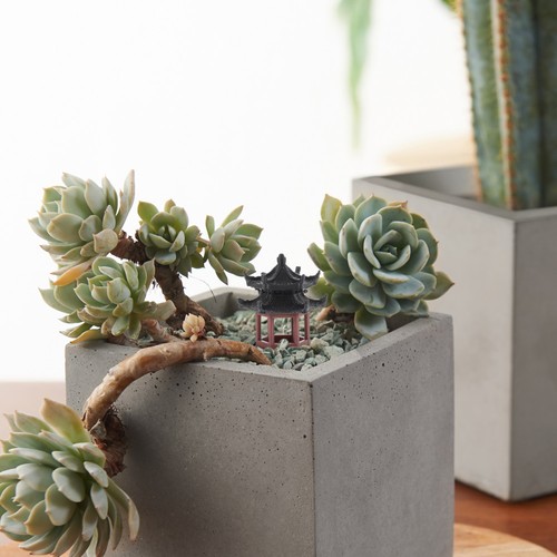 Micro landscape ornaments - ,