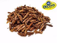 HERONS Natural Dried Grasshoppers BEARDED DRAGON GECKO TURTLE REPTILE FOOD