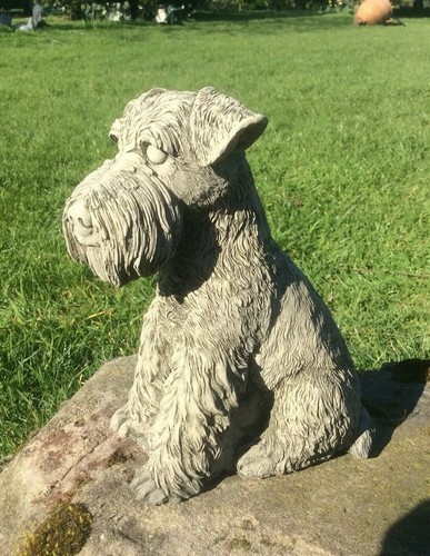 Stone garden schnauzer - garden, dog