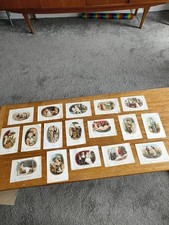 17 x Antique BDV Cigarette