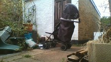 pushchair zeta city over 6 months 4 weels  they are double weels