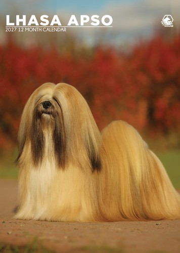 Lhasa apso calendar 2027 - calendar,