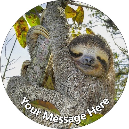 Sloth animal personalised cake - sloth,