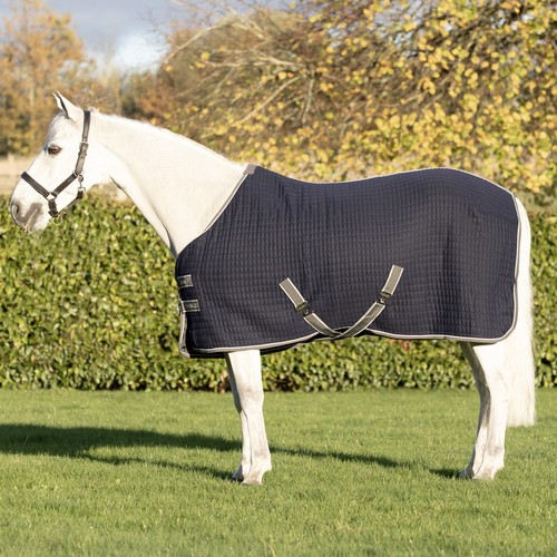 Equestrian defencex shield - defencex,