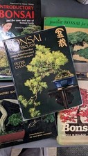 Collection Of Old bonsai tree