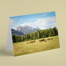 Horses grazing with forest and