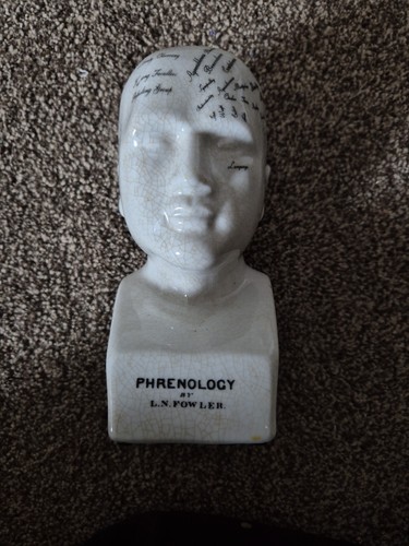 Ceramic phrenology head - ceramic,