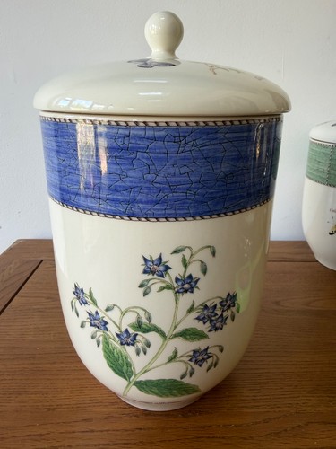 Wedgwood sarah garden - wedgwood, sarah’s