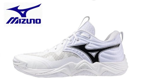New mizuno volleyball shoes - new,