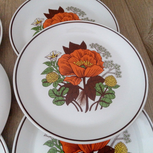 Poppies dinner plates 25cm - m&s,
