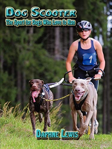 Dog scooter the sport for - the,
