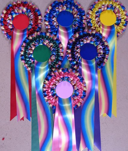 Rosettes new rainbow ribbon - ribbon, 3
