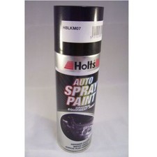 Holts Professional Car Black