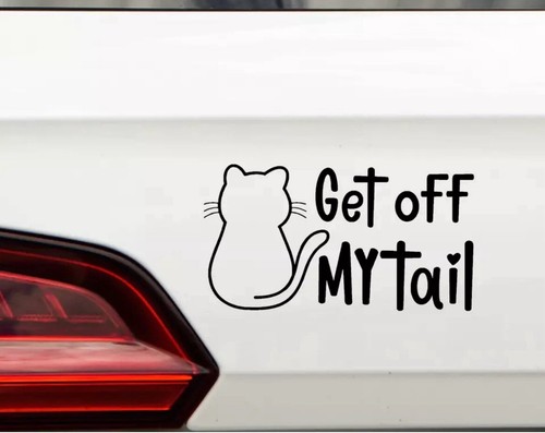 Pet cat get off - off, my