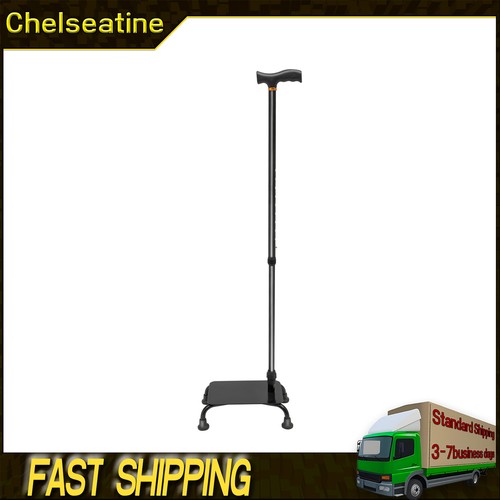 Stair climbing assist cane - stair,
