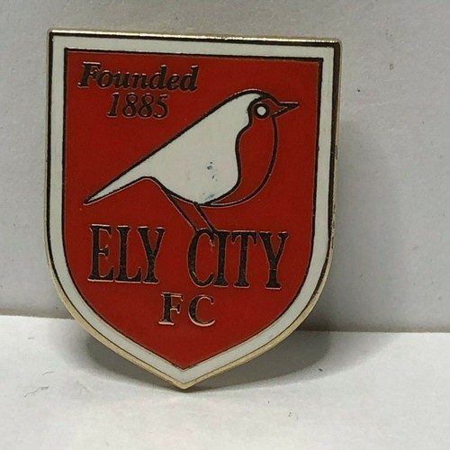 Ely city non league - non,