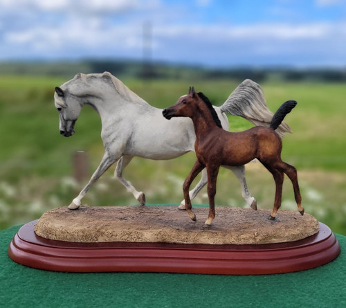 Border fine arts mares - fine,