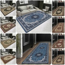 New Large Traditional Oriental Vintage Carpet Living Room Rug Bedroom Runner Mat