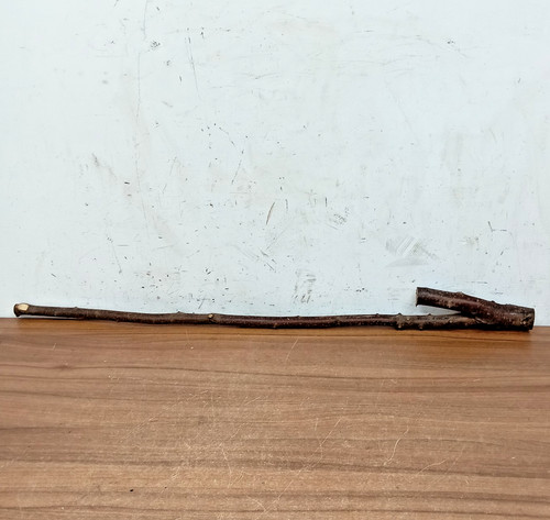 Blackthorn walking stick - walking,