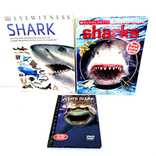 yewitness Shark White Shark