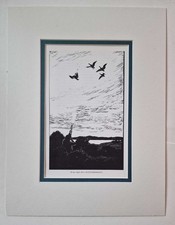 WATKINS-PITCHFORD (BB) At my