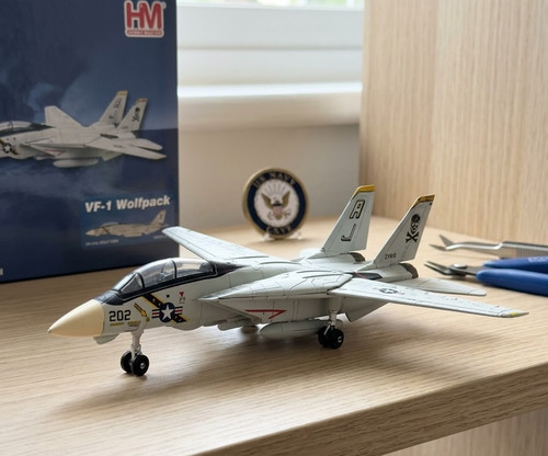 Tomcat fighter jet model - jet,