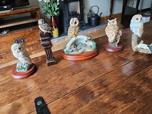 Five owl figurines various - owl,