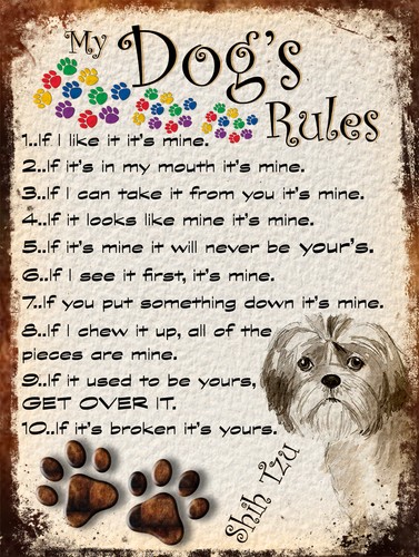 Dog rules retro style - my, dog's