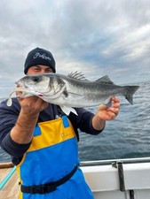 NEW Sidewinder Skerries Pro Sandeels Lure Shore/Boat - Pollack Bass Cod Coalfish