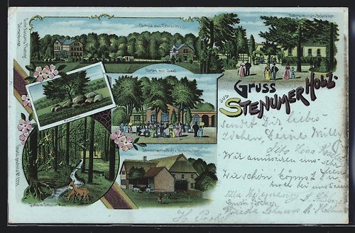 Lithograph stenum guest house - guest,