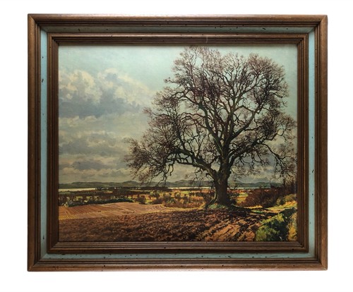Framed print the elm - framed,