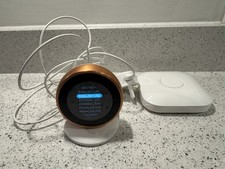 Google Nest Learning