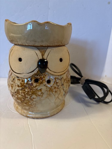 Owl lamp electric oil - lamp,