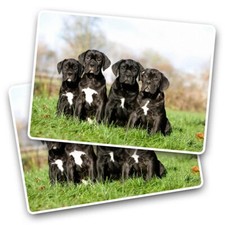 2x Vinyl Sticker Cane Corso