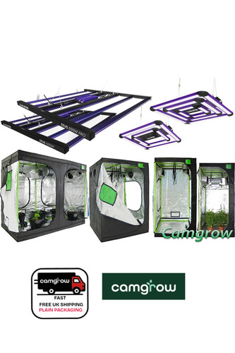 Led grow room - room/tent,