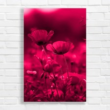 Vibrant Red Poppy Field Pink