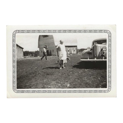 Vintage snapshot photo farm - vintage,