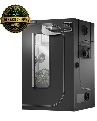 Infinity cloudlab grow - infinity,