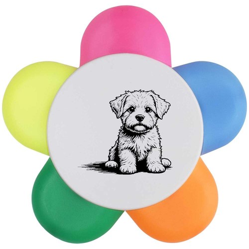 Maltese puppy sitting - 'maltese,
