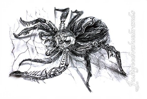 Black widow spiders - widow,