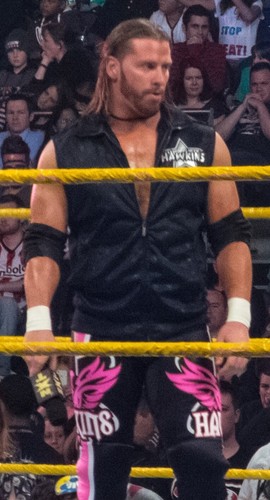 Curt hawkins brian myers - /,