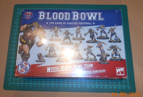 Norse blood bowl team - team:, norsca
