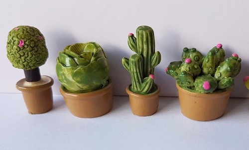 Cactus cacti plant pot - cactus,