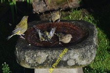 Photo 6x4 Rotherfield