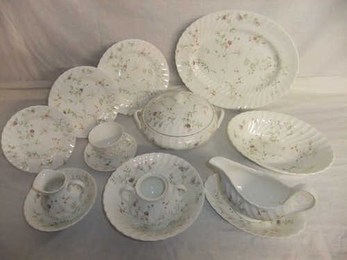 Wedgwood campion floral - -,
