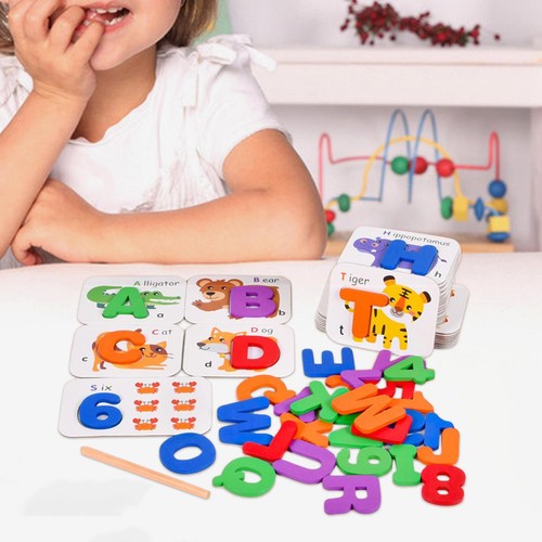 Montessori toy training - toy,